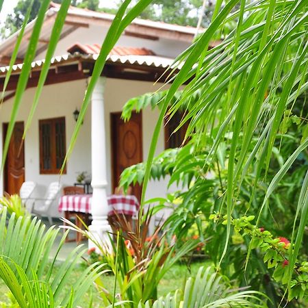 Sigiriya Amenity Home Stay Dış mekan fotoğraf
