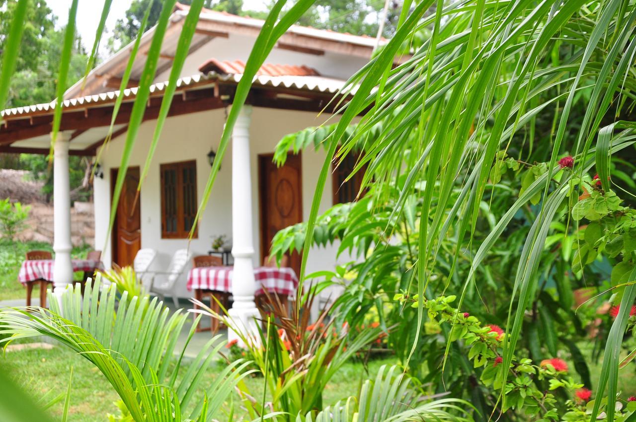 Sigiriya Amenity Home Stay Dış mekan fotoğraf