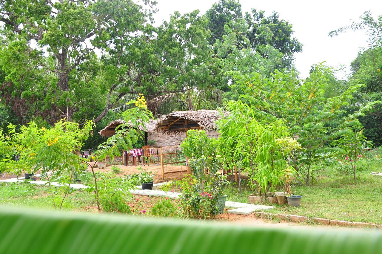 Sigiriya Amenity Home Stay Dış mekan fotoğraf