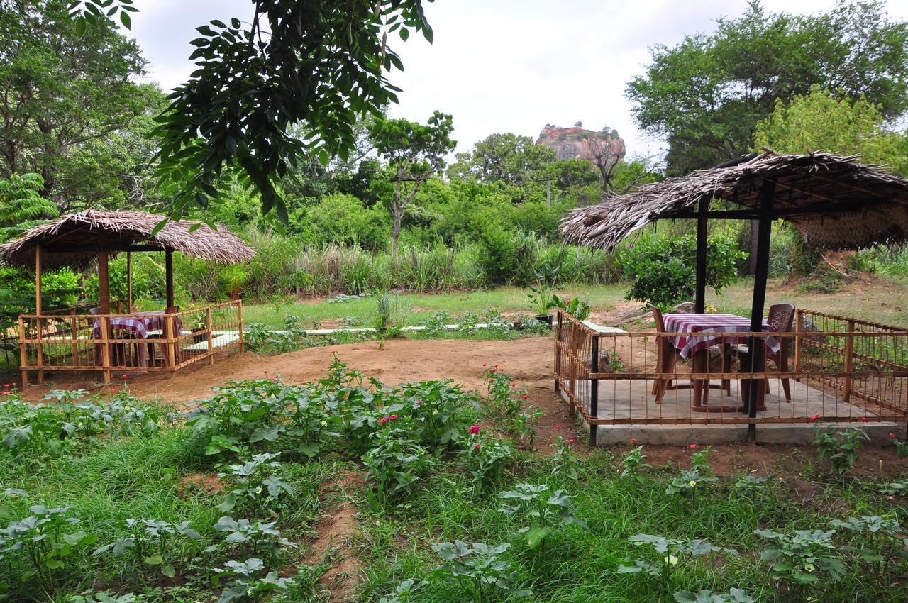 Sigiriya Amenity Home Stay Dış mekan fotoğraf