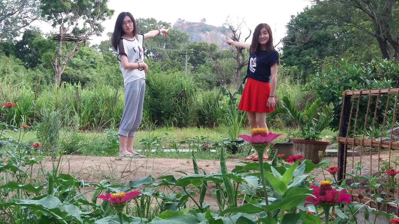Sigiriya Amenity Home Stay Dış mekan fotoğraf